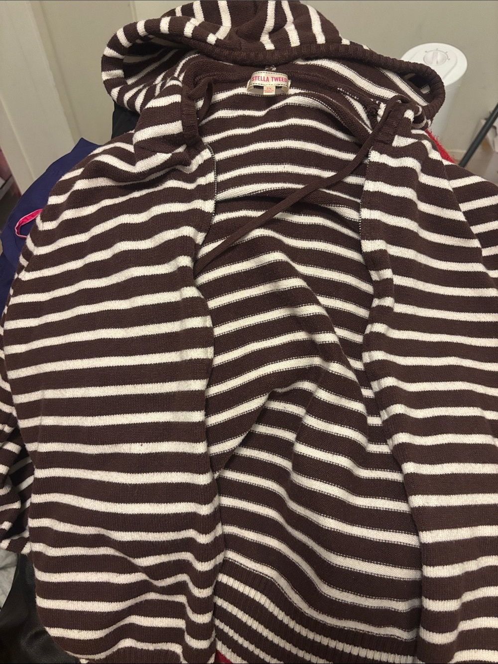 Stella McCartney Brown and White Striped Hooded Sweater